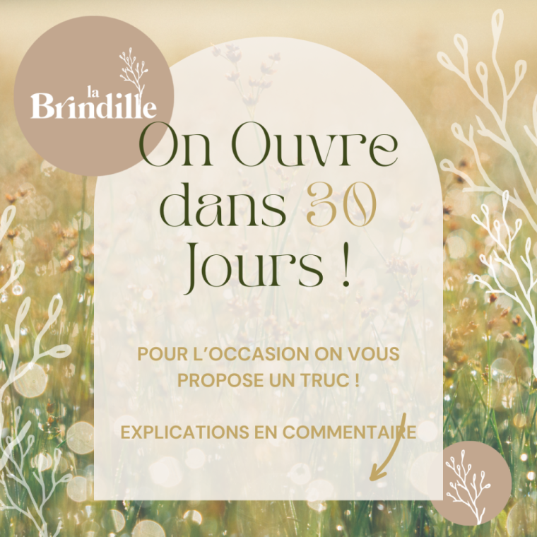 Cagnotte participative à la création de l'Auberge la Brindille, Villard-Notre-Dame, La Brindille