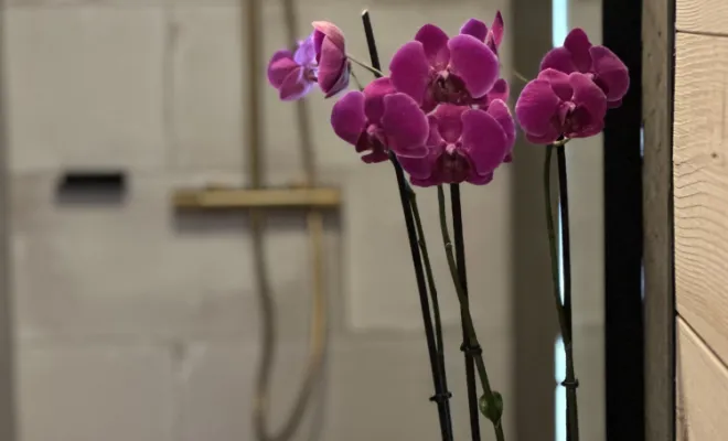 Location du chalet de La Brindille, Villard-Notre-Dame, La Brindille